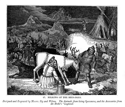 रीन-हिरण का दूध निकालना, 1843 द्वारा मेसर्स स्ली और विल्सन