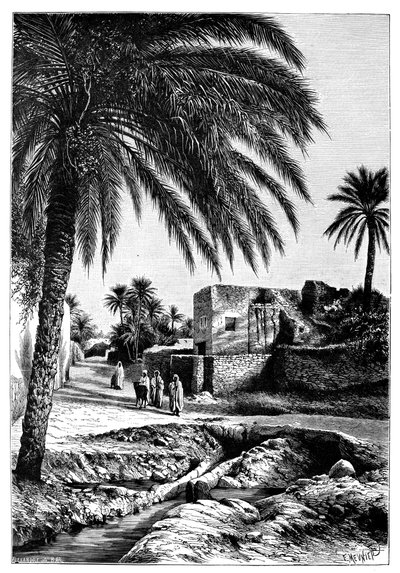 1895 में बिस्क्रा, अल्जीरिया में एक गली। द्वारा Meunier