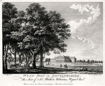 Wynn Stay Denbighshire, वेल्स, 1775 में द्वारा माइकल एंजेलो रूकर