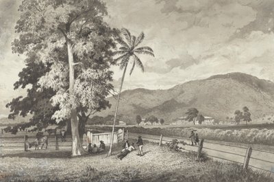  द्वारा मिशेल जीन कज़ाबोन
