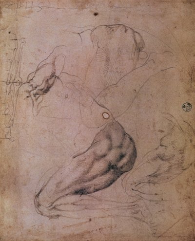 सिस्टिन चैपल सीलिंग (1508-12): द ओरिजिनल सिन (कागज पर लकड़ी का कोयला) के दृश्य से ईव की आकृति के रेखाचित्र द्वारा माइकल एंजेलो बुओनारोती