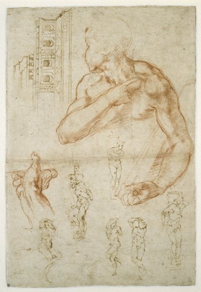 लीबिया सिबिल के सहायक चित्र का अध्ययन, c.1512 (कागज पर लाल चाक und पेन) द्वारा माइकल एंजेलो बुओनारोती