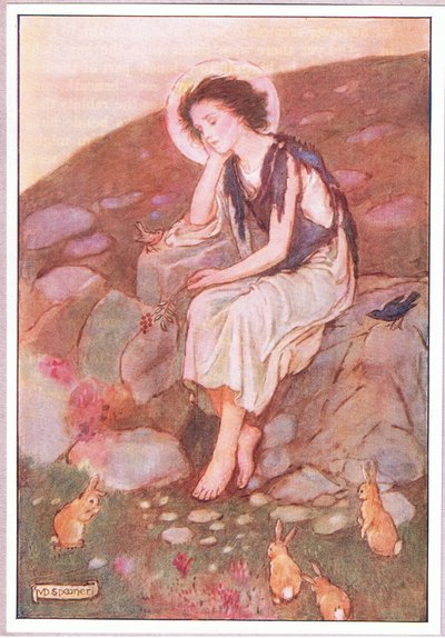  द्वारा मिन्नी डिडबिन स्पूनर