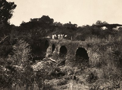 फासीवादी युग में 'बिल्डिंग ए एम्पायर': पुर्तगाली पुल, 09/05/1936 (बी/डब्ल्यू फोटो) द्वारा मोडेस्टिनो बाल्डिनेटी