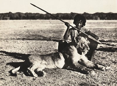 फासीवादी युग में 'बिल्डिंग ए एम्पायर': शेर का उदाहरण, 09/05/1936 (बी/डब्ल्यू फोटो) द्वारा मोडेस्टिनो बाल्डिनेटी