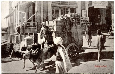 बैल-गाड़ी, c.1900-20 द्वारा मूरली धुर एंड संस