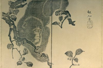 बंदर, 1815, 1924। द्वारा मोरी सोसेन