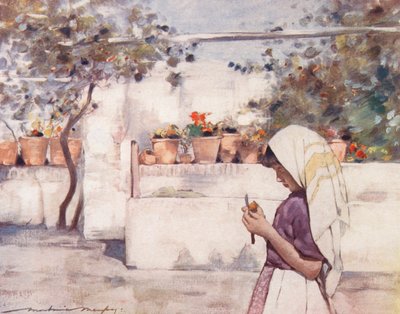  द्वारा मोर्टिमर लुडिंगटन मेनप्स
