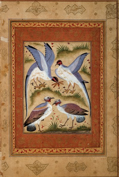 पक्षी। मोघोले स्कूल से लघु गौचे। 1590-1600। पेरिस, गुइमेट संग्रहालय, एशियाई कला का राष्ट्रीय संग्रहालय द्वारा मुगल स्कूल