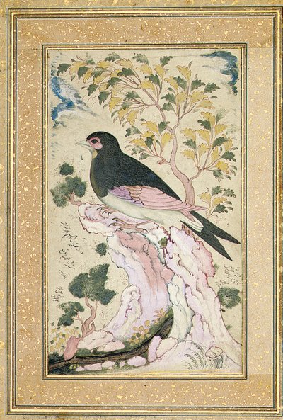 रॉक पर पक्षी परिहार, 1684 द्वारा मुिन मुसव्विर