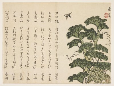 बड़े पेड़ और पक्षी, c.1830-44 (रंग वुडब्लॉक प्रिंट) द्वारा मुरता कागेन