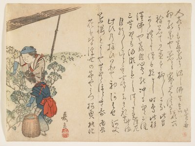 चाय पिकर, c.1830-44 (कलर वुडब्लॉक प्रिंट) द्वारा मुरता कागेन