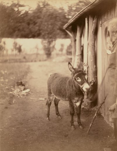  द्वारा नादर [गैसपार्ड फेलिक्स टूरनाचोन]