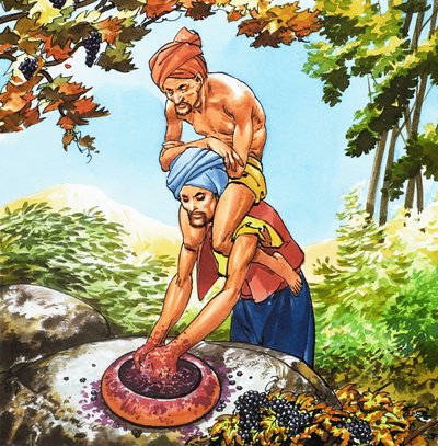  द्वारा नादिर क्विंटो