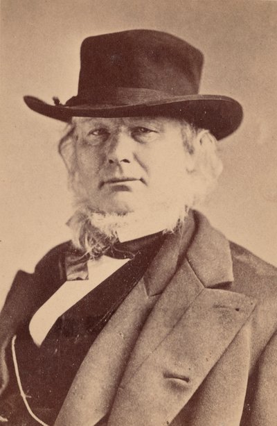 होरेस ग्रीले का पोर्ट्रेट 1811-1872, 1869। द्वारा नेपोलियन सरनी