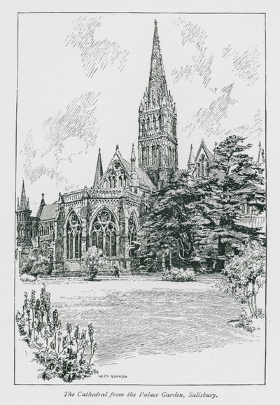  द्वारा नेली एरचसेन