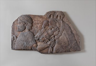 एक सहायक जुलूस में विदेशी दूल्हा, c.721-05 ईसा पूर्व (जिप्सम अलाबास्टर) द्वारा नव असीरियन नियो असीरियन