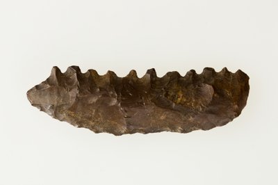 द्विभाजित दरांती, c.4500-4000 ईसा पूर्व (चकमक पत्थर) द्वारा निओलिथिक निओलिथिक