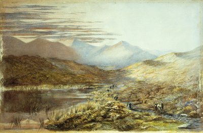 पुकाकी झील, 1872 द्वारा निकोलस शेवेलियर