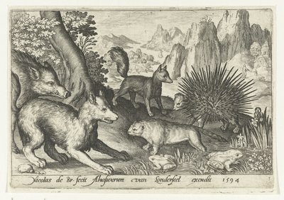 जंगली सूअर, लोमड़ी, ऊदबिलाव, साही और मेंढक Animalivm qvadrvpedvm (श्रृंखला शीर्षक) परिदृश्य में जानवर (श्रृंखला शीर्षक) द्वारा अस्सेरस वैन लंदनसील