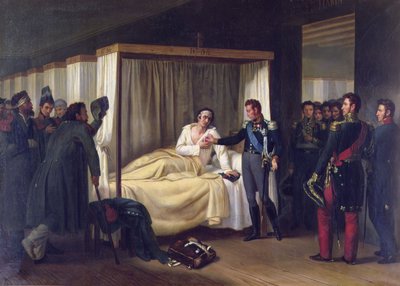 लुई डी बॉर्बन (1775-1844), ड्यूक डी'अंगौलेमे 1823 में स्पेन में फ्रांसीसी अभियान के दौरान फर्डिनेंड VII (1784-1833) (कैनवास पर तेल) को बहाल करने के लिए चिकलाना के अस्पताल का दौरा करते हुए द्वारा निकोलस सेबेस्टियन फ्रॉस्टी