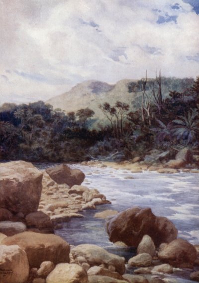 रैपिड्स, विलियम्स नदी, एरोमंगा द्वीप, न्यू हेब्राइड्स (रंग लिथो) द्वारा नॉर्मन हार्डी