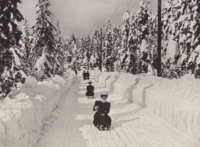 क्रिस्टियानिया के पास शीतकालीन खेल द्वारा Norwegian Photographer