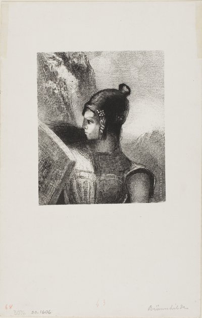  द्वारा ओडिलोन रेडन