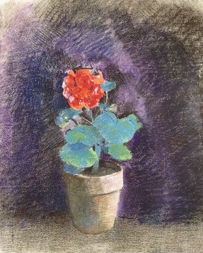 geranium, द्वारा ओडिलोन रेडन