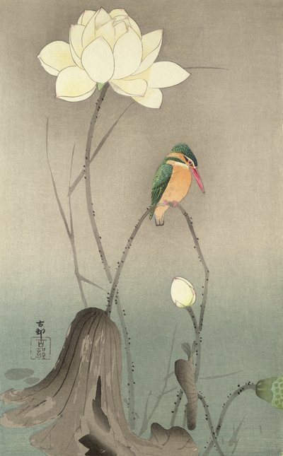 एक किंगफिशर और एक कमल, c.1910, द्वारा Ohara Koson