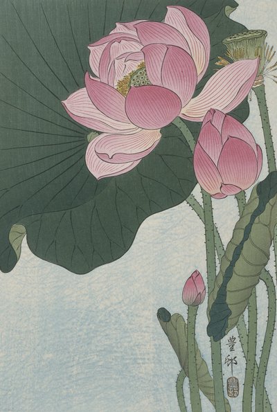 खिलते हुए कमल के फूल, 1920-30 (रंग की लकड़ी) द्वारा Ohara Koson