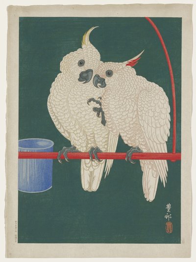 cockatoos द्वारा ओहरा कोसों