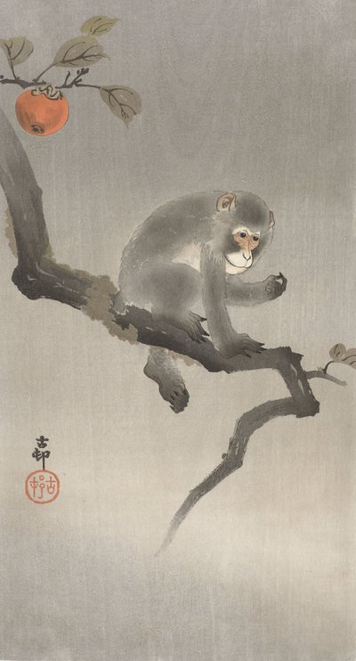 एक फल के पेड़ में बंदर, 1900-30 (रंग लकड़ी) द्वारा Ohara Koson