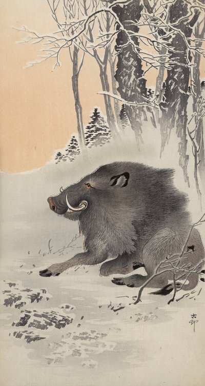 बर्फ से ढके परिदृश्य में लेटे हुए सूअर (रंगीन वुडब्लॉक प्रिंट) द्वारा Ohara Koson