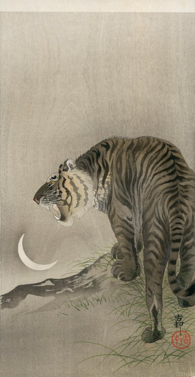 गर्जन बाघ और अर्धचंद्राकार द्वारा ओहरा कोसों