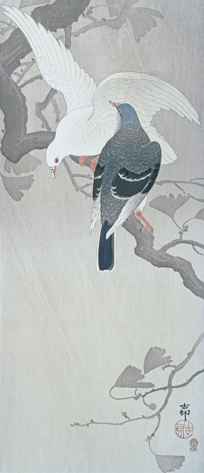 एक जिन्को पेड़ की एक शाखा पर बारिश में दो कबूतर द्वारा Ohara Koson