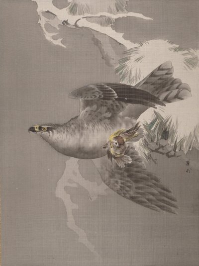 हॉक होल्डिंग ए स्मॉल बर्ड, सीए। 1891-92। द्वारा ओकाडा बाइसन