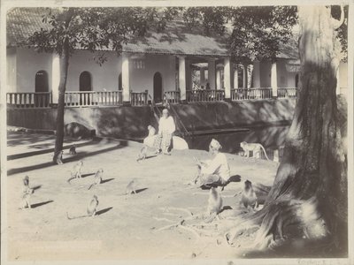  द्वारा ओन्नेस कुर्कजियां