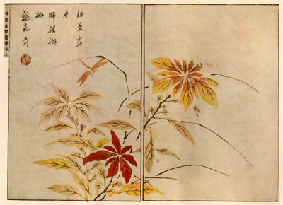 पौधों के साथ ड्रैगनफ्लाई, 1746, 1924। द्वारा ऊका शुनबोकू