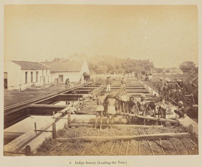  द्वारा ऑस्कर मालिटे