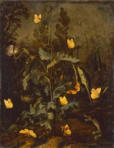 चिड़िया के घोंसले में सांप / चिड़िया का घोंसला, सांप, तितलियों और कम से कम नेवला के साथ अफीम खसखस द्वारा ओटो मार्सस वैन श्रिएक