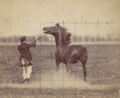 घोड़ा, 1884. द्वारा ओटोमर अंसचुत्ज़ी