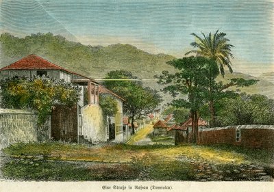 रोसेउ, डोमिनिका में एक सड़क, c1880। द्वारा गड़बड़