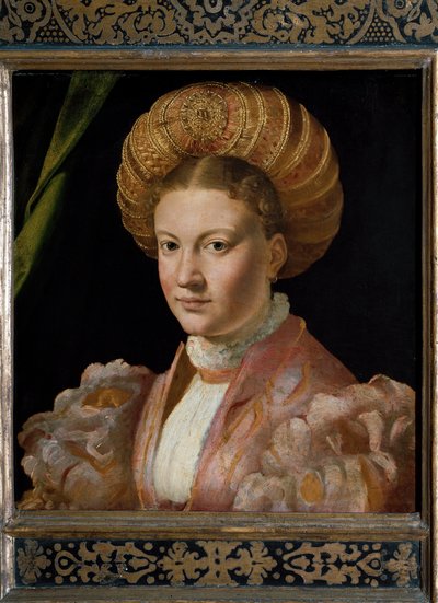 एक युवा महिला काउंटेस गोज़ादिनी का पोर्ट्रेट। (चित्र द्वारा Parmigianino