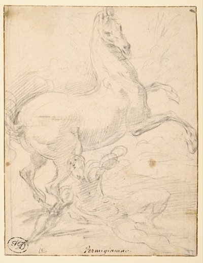  द्वारा Parmigianino