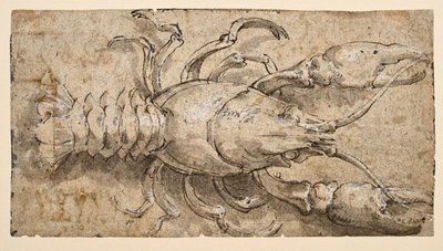 द्वारा Parmigianino