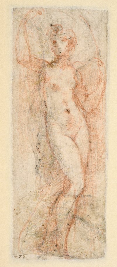  द्वारा Parmigianino