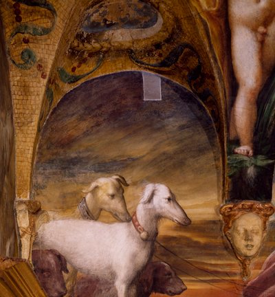 मिथ ऑफ़ डायना और एक्टेऑन से कुत्तों का समूह द्वारा Parmigianino