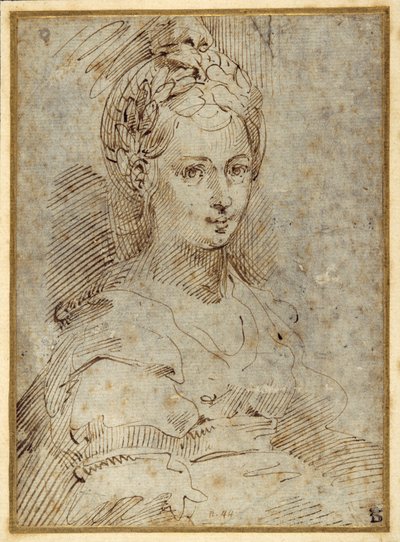 एक बैठी हुई महिला की आधी लंबाई (कागज पर कलम और स्याही) द्वारा Parmigianino