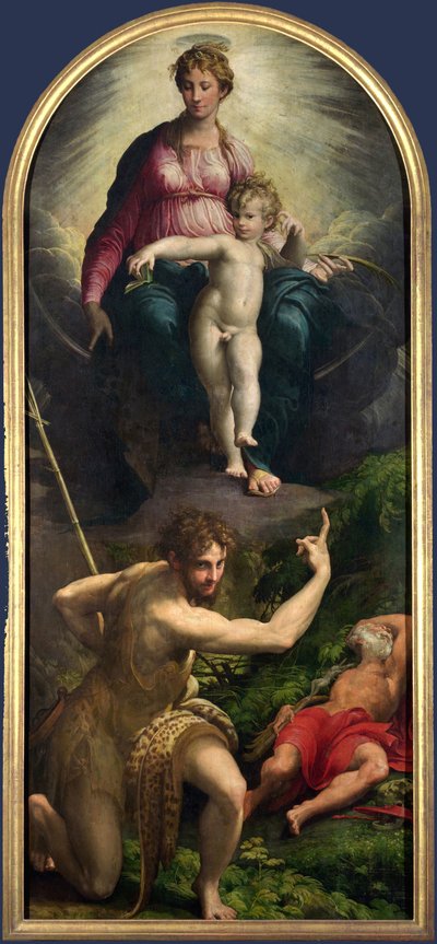 मैडोना और बाल सेंट जॉन और सेंट जेरोम के साथ द्वारा Parmigianino